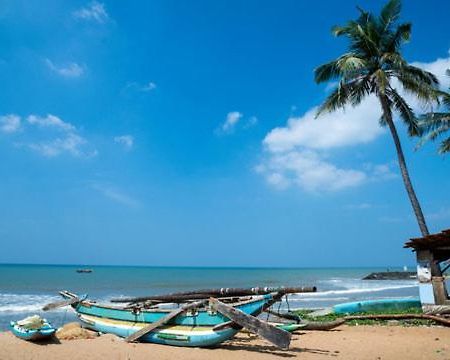 Aloe Vera Villa Negombo Luaran gambar