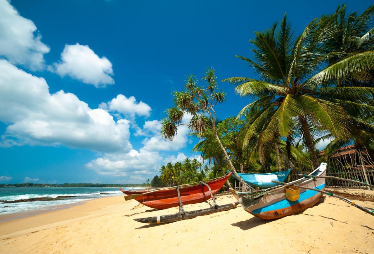 Aloe Vera Villa Negombo Luaran gambar