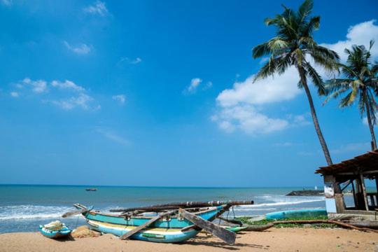 Aloe Vera Villa Negombo Luaran gambar