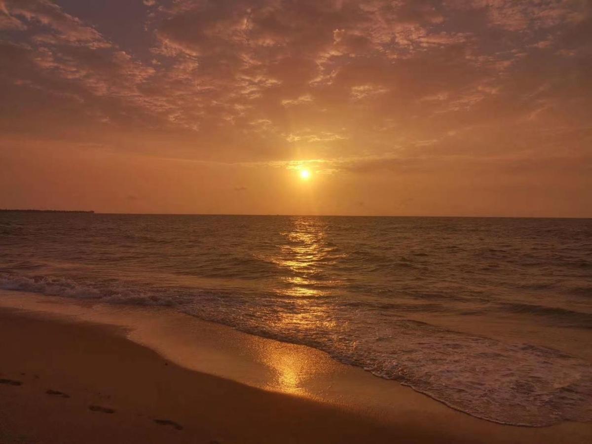 Aloe Vera Villa Negombo Luaran gambar