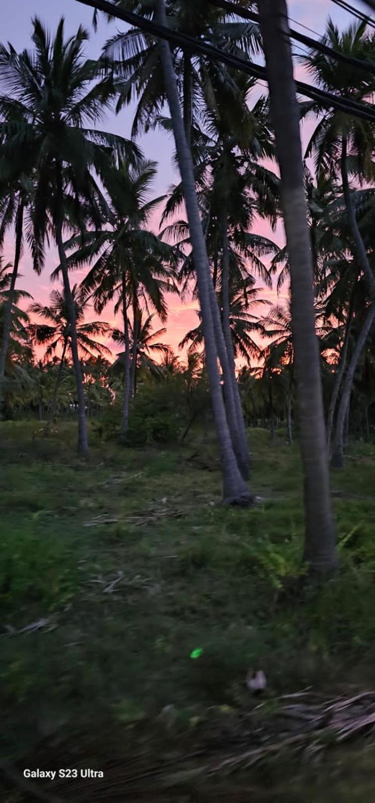 Aloe Vera Villa Negombo Luaran gambar